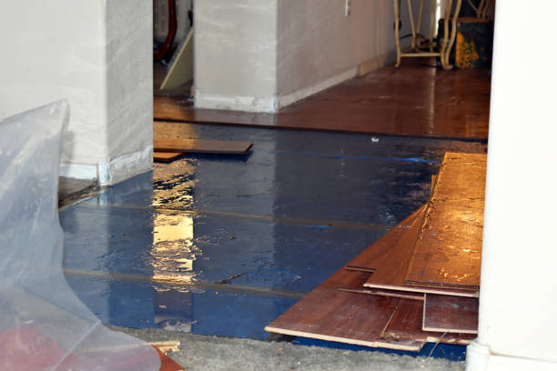 Professional Water Damage Restoration technician working in Apple Valley, MN